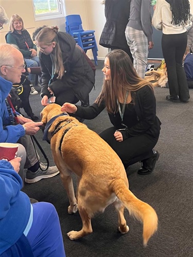 Students Spend Time with Guide Dogs to Enhance their Wellbeing